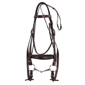 Suitset isolle hevoselle, Cortina