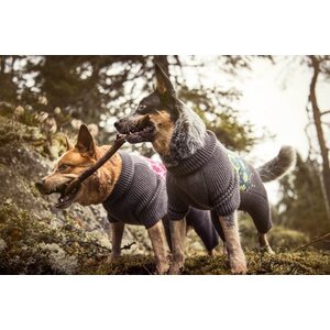 Hurtta Comfort neule