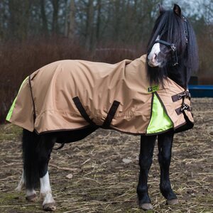 Globus ohut highneck sadeloimi Bruno poneille