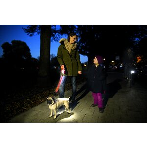Flexi Vario LED Flash Belt, LED jatko-osa L