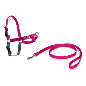 PetSafe Premier Easy Walk vedonestovaljaat vadelma-harmaa, XS