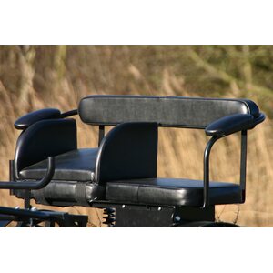 Sulkys Cavalettie Sport Edition 2017