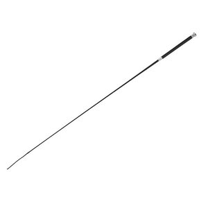 Kouluraippa