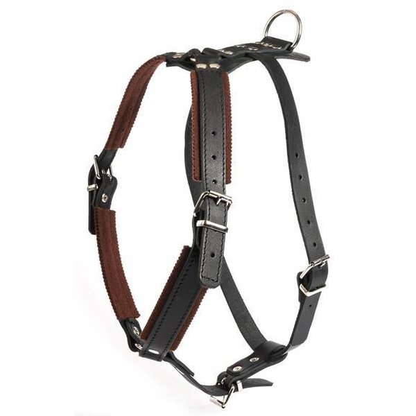 Raddog leather harness "raddog", f