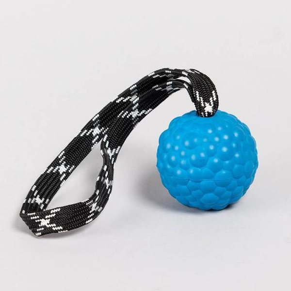 Raddog ball "raddog", 7cm, loop