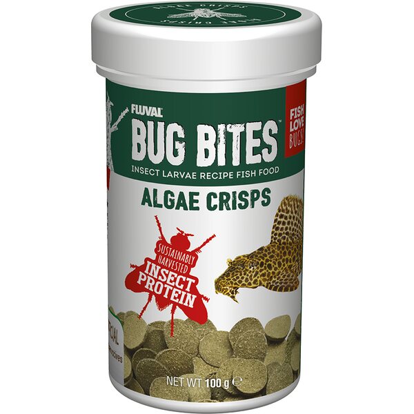 Bug Bites Algae Crisps 100g.