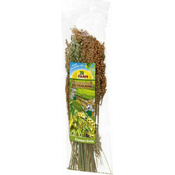 JR Farm Kesäheinät 80g.