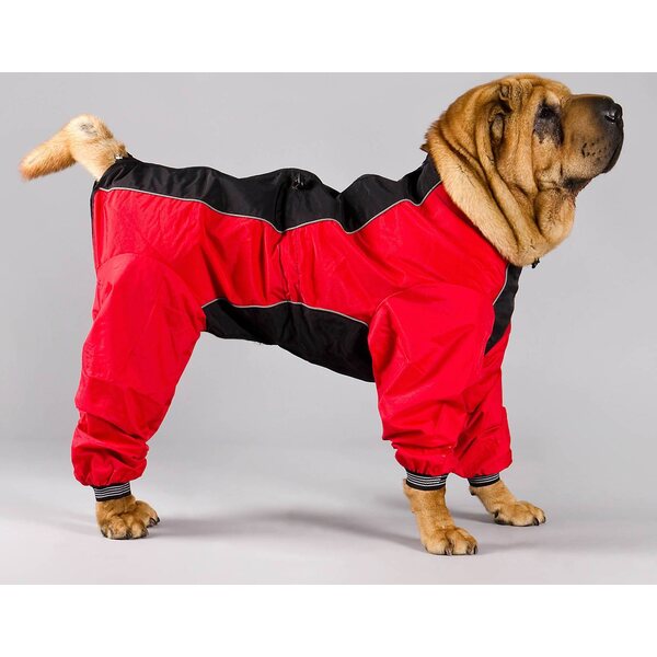 Globus DOG SUIT