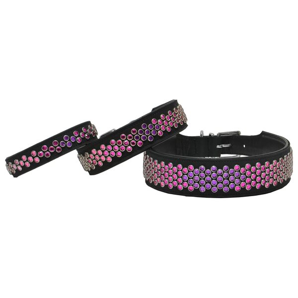 Globus dog collar, pink/purple