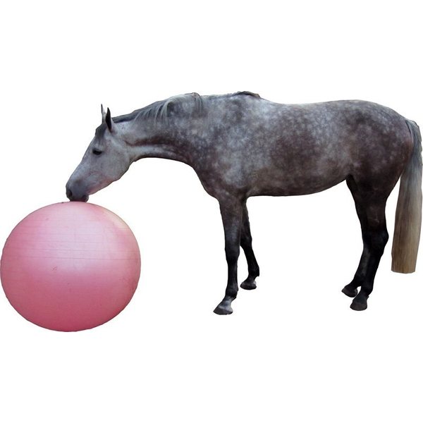 QHP Pallo hevoselle, 70-100cm