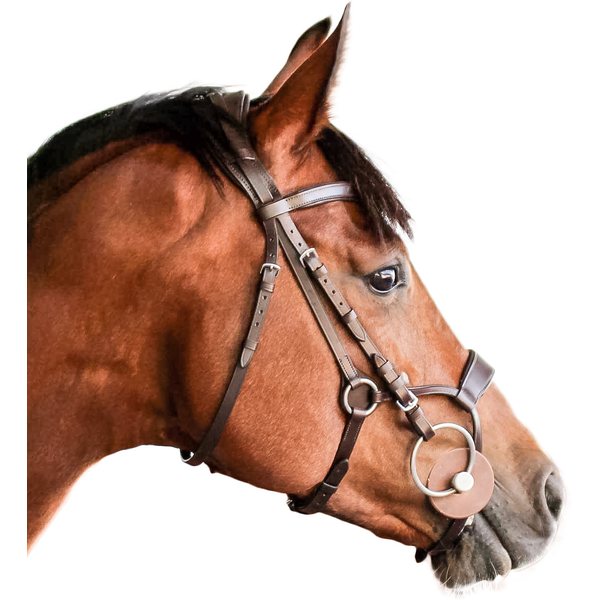 Bridle x - jump with design noseband, brown